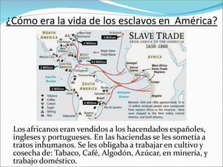 ¿Cómo era la vida de los esclavos en América?
Los africanos eran vendidos a los hacendados españoles,
ingleses y portugueses. En las haciendas se les sometía a
tratos inhumanos. Se les obligaba a trabajar en cultivo y
cosecha de: Tabaco, Café, Algodón, Azúcar, en minería, y
trabajo doméstico.
 