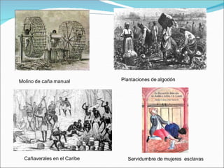 Molino de caña manual Plantaciones de algodón
Cañaverales en el Caribe Servidumbre de mujeres esclavas
 