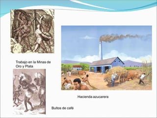 Trabajo en la Minas de
Oro y Plata
Hacienda azucarera
Bultos de café
 