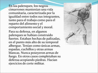 En los palenques, los negros
cimarrones mantenían una vida
comunitaria, caracterizada por la
igualdad entre todos sus integrantes,
tanto para el trabajo como para el
reparto del alimento y el
comportamiento social y moral.
Para su defensa, en algunos
palenques se habían construido
fuertes. Estaban hechas de palizadas,
en el punto más alto de su temporal
albergue. Tenían como únicas armas,
espadas, cuchillos y otras armas
blancas. Nunca poseyeron armas de
fuego. En otros casos completaban su
defensa acopiando piedras. Hacían
ejercicios de corte militar.
 