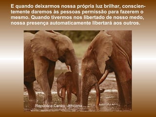República Centro -Africana E quando deixarmos nossa própria luz brilhar, conscien-temente daremos às pessoas permissão para fazerem o mesmo. Quando tivermos nos libertado de nosso medo, nossa presença automaticamente libertará aos outros. 