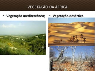 • Vegetação mediterrâneo;
VEGETAÇÃO DA ÁFRICA
• Vegetação desértica.
 