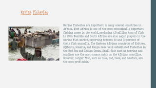 Marine fisheries
Marine fisheries are important to many coastal countries in
Africa. West Africa is one of the most economically important
fishing zones in the world, producing 4.5 million tons of fish
in 2000. Namibia and South Africa are also major players in the
marine fish market, exporting between 80 and 90 percent of
their fish annually. The Eastern African countries of Eritrea,
Djibouti, Somalia, and Kenya have well-established fisheries in
the Red Sea and Indian Ocean. Small fish such as herring and
sardines are the most common catch on the African coastline.
However, larger fish, such as tuna, cod, hake, and haddock, are
the most profitable.
 