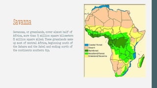 Savanna
Savannas, or grasslands, cover almost half of
Africa, more than 13 million square kilometers
(5 million square miles). These grasslands make
up most of central Africa, beginning south of
the Sahara and the Sahel and ending north of
the continents southern tip.
 