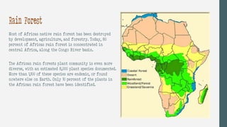 Rain Forest
Most of Africas native rain forest has been destroyed
by development, agriculture, and forestry. Today, 80
percent of Africas rain forest is concentrated in
central Africa, along the Congo River basin.
The African rain forests plant community is even more
diverse, with an estimated 8,000 plant species documented.
More than 1,100 of these species are endemic, or found
nowhere else on Earth. Only 10 percent of the plants in
the African rain forest have been identified.
 