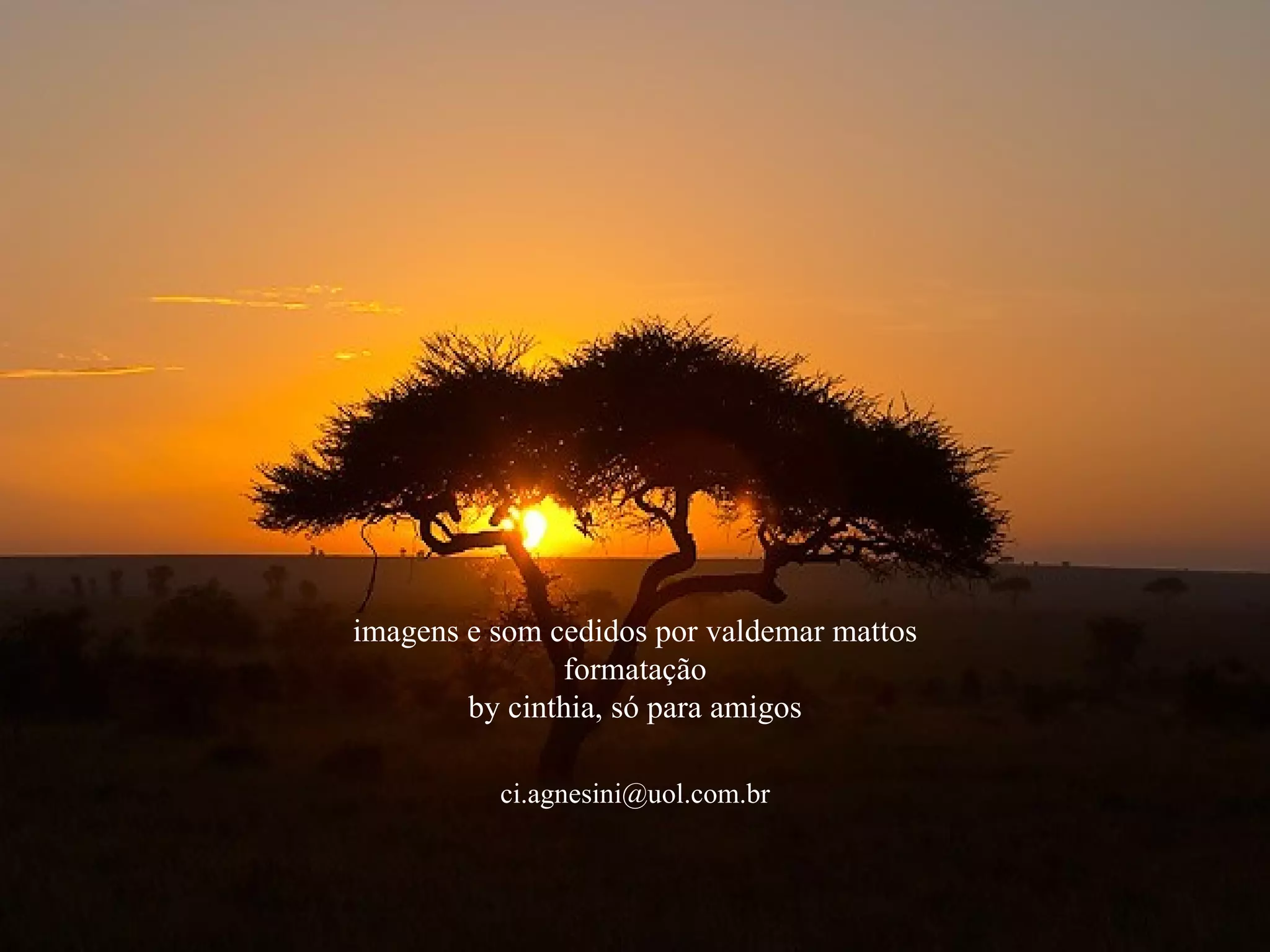 imagens e som cedidos por valdemar mattos formatação by cinthia, só para amigos [email_address] 