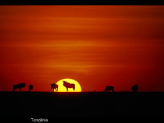 Tanzânia
 