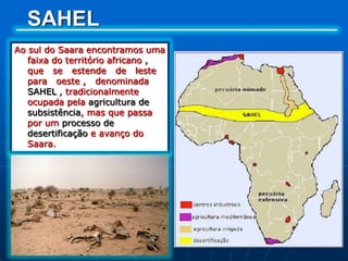 Desertos – Nas áreas desérticas, como no Saara, Kaalahari, Arábia e Irã, não há vegetação permanente. Em alguns locais, surge uma “erva rasteira” (xerófita)após as chuvas. Nas regiões onde aflora o lençol freático (lençol subterrâneo de água) podem surgir oásis, com palmeiras (tamareiras).