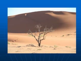 Cadeia do Cabo - Montes DrakensbergA Cordilheira do Cabo ou Drakensbergestende-se por mais de 1000 km, paralelamente à costa oriental da África do Sul. O nome desta cordilheira em língua isiZulu é uKhahlamba, que significa “barreira de lanças”.