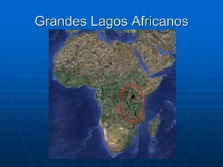 Grandes Lagos AfricanosOs Grandes Lagos Africanos são um conjunto de lagos de origem tectônica, localizados na África oriental, que incluem alguns dos lagos mais profundos do mundo. A maior parte destes lagos foi formada há cerca de 35 milhões de anos no Vale do Rift Ocidental, um dos ramos desta formação geológica que abrange a Etiópia, Quénia, Tanzânia, Uganda, Ruanda, Burundi, República Democrática do Congo, Malawi e Moçambique.São os únicos lagos do mundo onde      tem ondas, pois são imensos e profundos     (tectônicos).Os mais importantes são:A) Vitória (nascente do Nilo)B) Malawi ou NiassaC) Tanganica Rift Valey