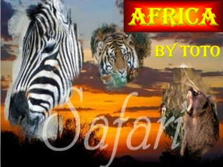 AFRICA BY TOTO 
