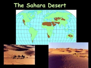 The Sahara Desert
 