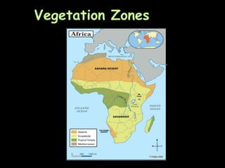 Vegetation Zones
 