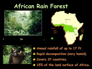 African Rain Forest




      # Annual rainfall of up to 17 ft.
      # Rapid decomposition (very humid).

      # Covers 37 countries.
      # 15% of the land surface of Africa.
 