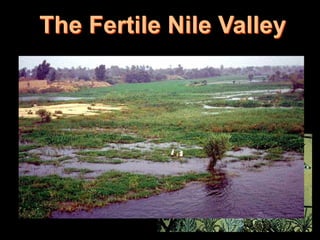 The Fertile Nile Valley
 