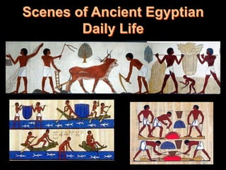 Scenes of Ancient Egyptian
        Daily Life
 