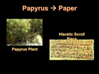 Papyrus  Paper


                Hieratic Scroll
                    Piece

Papyrus Plant
 