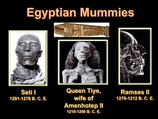 Egyptian Mummies




     Seti I          Queen Tiye,            Ramses II
1291-1278 B. C. E.     wife of            1279-1212 B. C. E.
                     Amenhotep II
                     1210-1200 B. C. E.
 