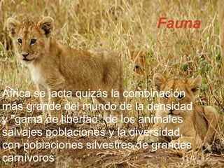 Fauna
África se jacta quizás la combinación
más grande del mundo de la densidad
y "gama de libertad" de los animales
salvajes poblaciones y la diversidad,
con poblaciones silvestres de grandes
carnívoros
 