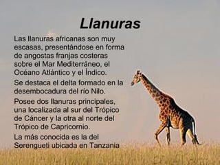 Llanuras
Las llanuras africanas son muy
escasas, presentándose en forma
de angostas franjas costeras
sobre el Mar Mediterráneo, el
Océano Atlántico y el Índico.
Se destaca el delta formado en la
desembocadura del río Nilo.
Posee dos llanuras principales,
una localizada al sur del Trópico
de Cáncer y la otra al norte del
Trópico de Capricornio.
La más conocida es la del
Serengueti ubicada en Tanzania
 