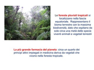 Le foreste pluviali tropicali si
localizzano nella fascia
equatoriale. Rappresentano il
bioma terrestre con la massima
biodiversità, dato che ospitano da
sole circa una metà delle specie
viventi animali e vegetali terrestri
La più grande farmacia del pianeta: circa un quarto dei
principi attivi impiegati in medicina deriva da vegetali che
vivono nella foresta tropicale.
 