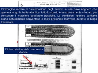 L'espressione “tratta atlantica” si
riferisce al commercio di schiavi di
origine africana attraverso l'Oceano
Atlantico fra il XVI e il XIX secolo.
L’immagine mostra la “sistemazione degli schiavi in una nave negriera che
operava lungo la tratta atlantica: tutto lo spazio è minuziosamente sfruttato per
consentire il massimo guadagno possibile. Le condizioni igienico sanitarie
erano naturalmente spaventose e molti prigionieri morivano durante la lunga
traversata.
L’intera cubatura della nave veniva
sfruttata.
 