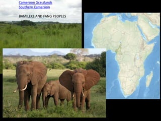 Cameroon Grasslands
Southern Cameroon:
BAMILEKE AND FANG PEOPLES
 