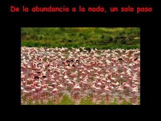 De la abundancia a la nada, un solo paso 