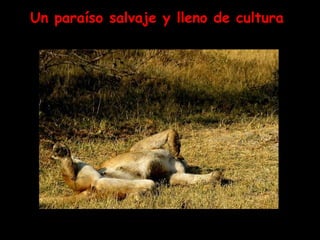 Un paraíso salvaje y lleno de cultura  