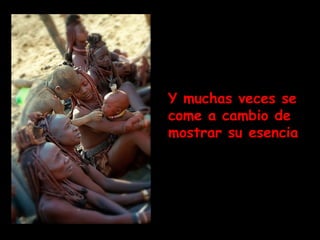 Y muchas veces se come a cambio de mostrar su esencia 