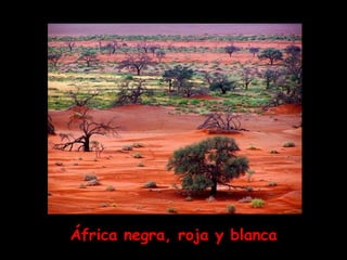 África negra, roja y blanca 