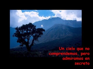 Un cielo que no comprendemos, pero admiramos en secreto 