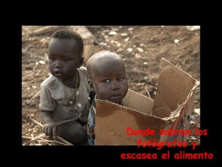 Donde sobran los fotógrafos y escasea el alimento 