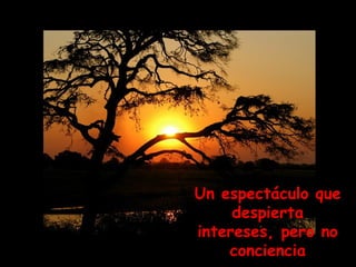 Un espectáculo que despierta intereses, pero no conciencia 