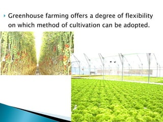 Greenhouse farming offers a degree of flexibility on which method of cultivation can be adopted. These include: 