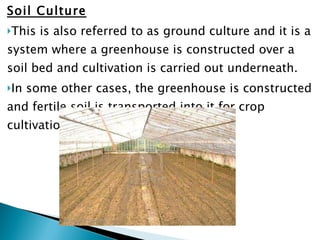 Soil Culture This is also referred to as ground culture and it is a system where a greenhouse is constructed over a soil bed and cultivation is carried out underneath.  In some other cases, the greenhouse is constructed and fertile soil is transported into it for crop cultivation.  