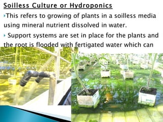 Soilless Culture or Hydroponics This refers to growing of plants in a soilless media using mineral nutrient dissolved in water. Support systems are set in place for the plants and the root is flooded with fertigated water which can be recycled and used again.  