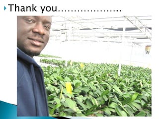 Thank you……………….. 