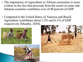 The importance of Agriculture to African economies is more evident in the fact that proceeds from the sector  in some sub-Saharan countries contribute over of 40 percent of GDP Compared to the United States of America and Brazil, Agriculture contributes about 1.2% and 6.1% of GDP respectively (Murphy, 2010). 