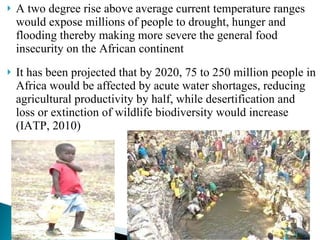 A two degree rise above average current temperature ranges would  expose millions of people to drought, hunger and flooding thereby making more severe the general food insecurity on the African continent It has been projected that by 2020, 75 to 250 million people in Africa would be affected by acute water shortages, reducing agricultural productivity by half, while desertification and loss or extinction of wildlife biodiversity would increase (IATP, 2010) 