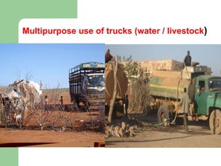 Multipurpose use of trucks (water / livestock ) 