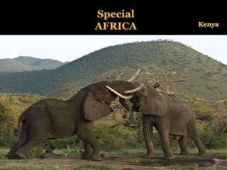 Special AFRICA Kenya 