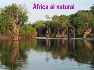 Africa al natural