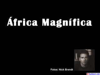 África Magnífica Fotos: Nick Brandt  