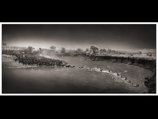 Africa black and-white