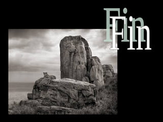 Africa black and-white