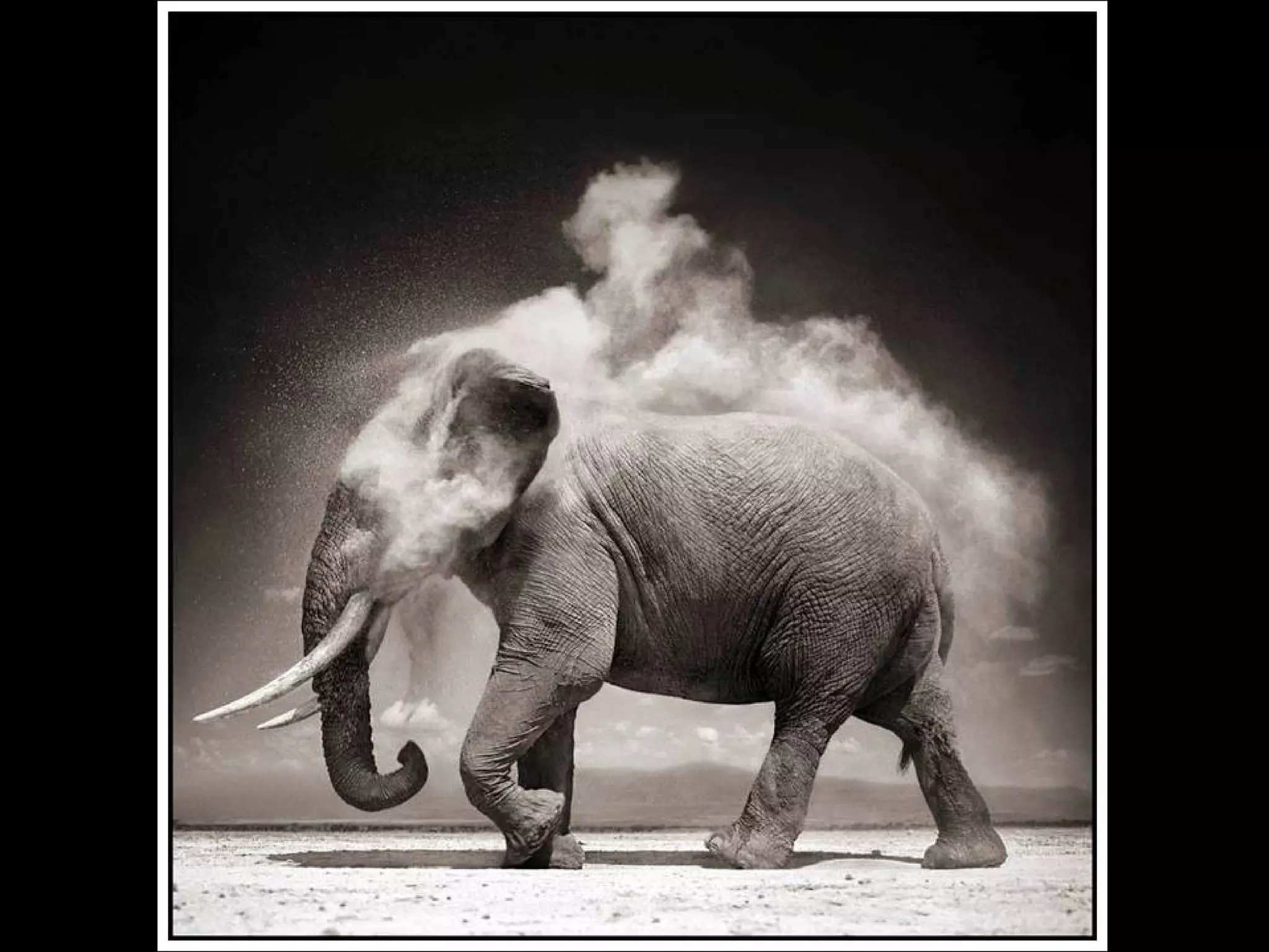 Africa black and-white1