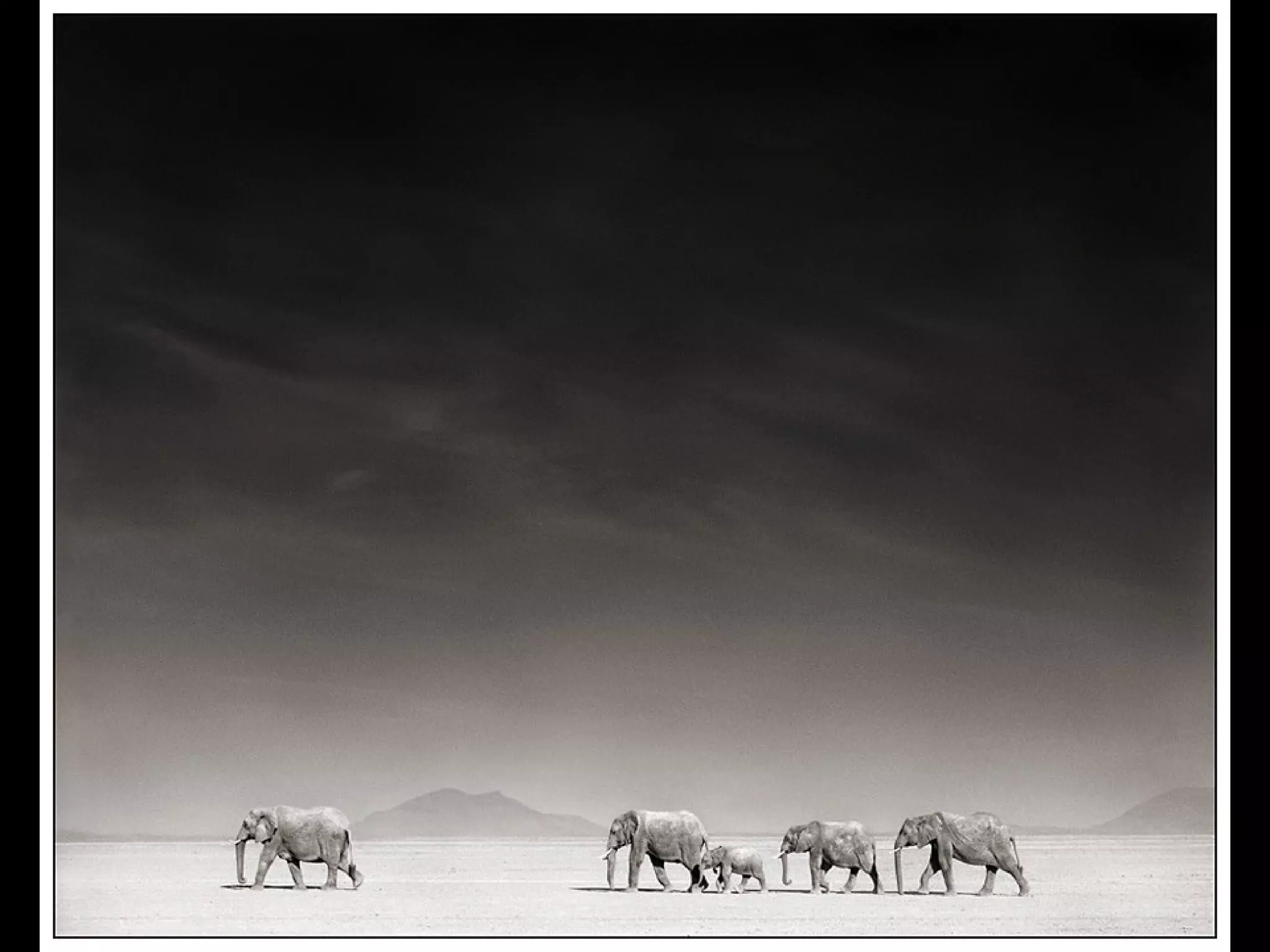 Africa black and-white1