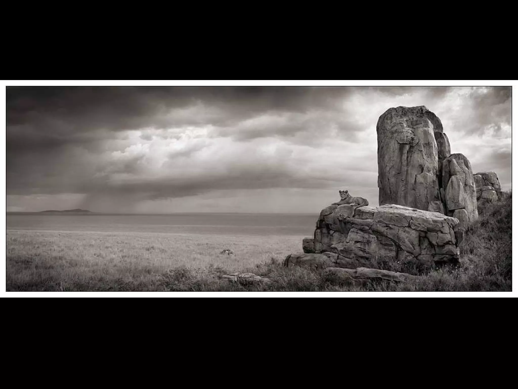 Africa black and-white1