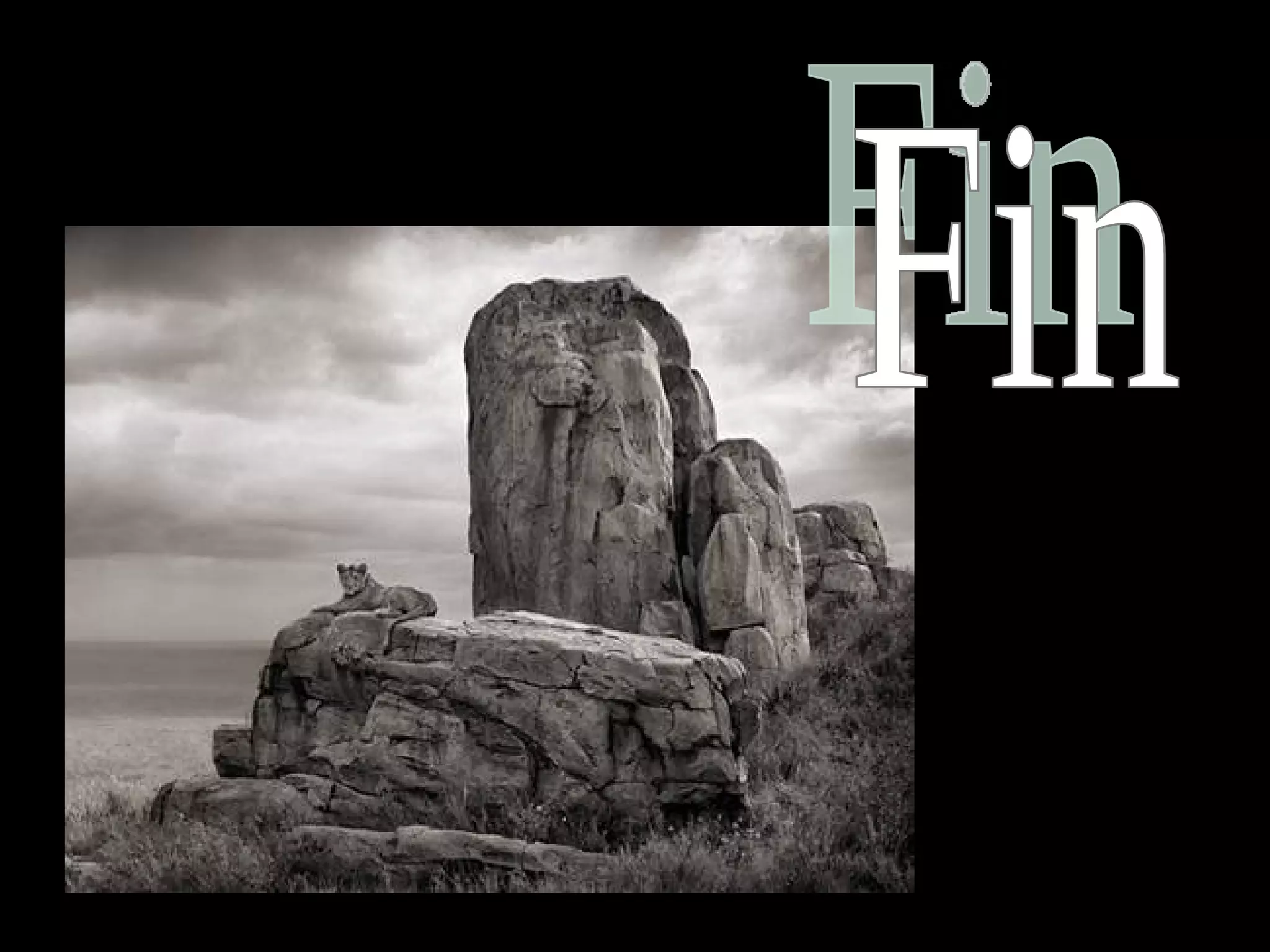 Africa black and-white1